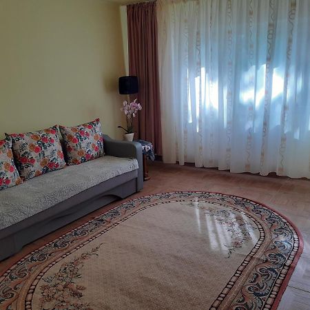 Xenia Apartament 콘스탄차 외부 사진