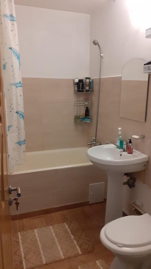 Xenia Apartament 콘스탄차 외부 사진