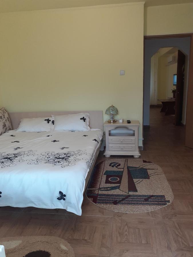 Xenia Apartament 콘스탄차 외부 사진